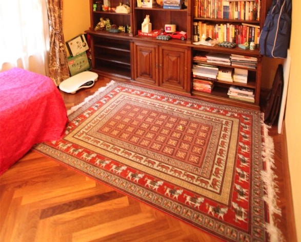 RUGS HIGH QUALITY CARPETS RY715